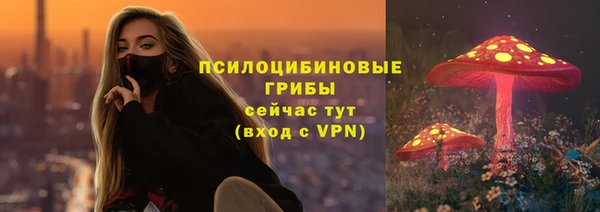 mdpv Бугульма