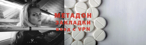 индика Новодвинск