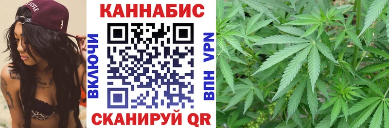 закладки  Верхний Тагил  Канабис сатива 
